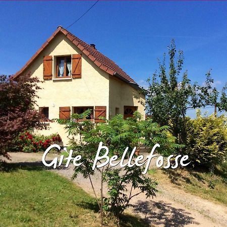 Maison Independante De Montagne En Alsace Bellefosse 외부 사진