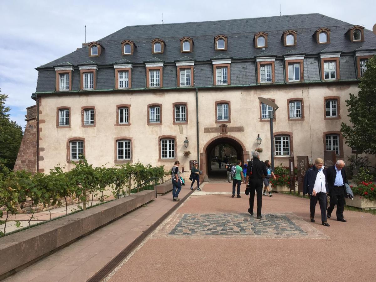 Maison Independante De Montagne En Alsace Bellefosse 외부 사진