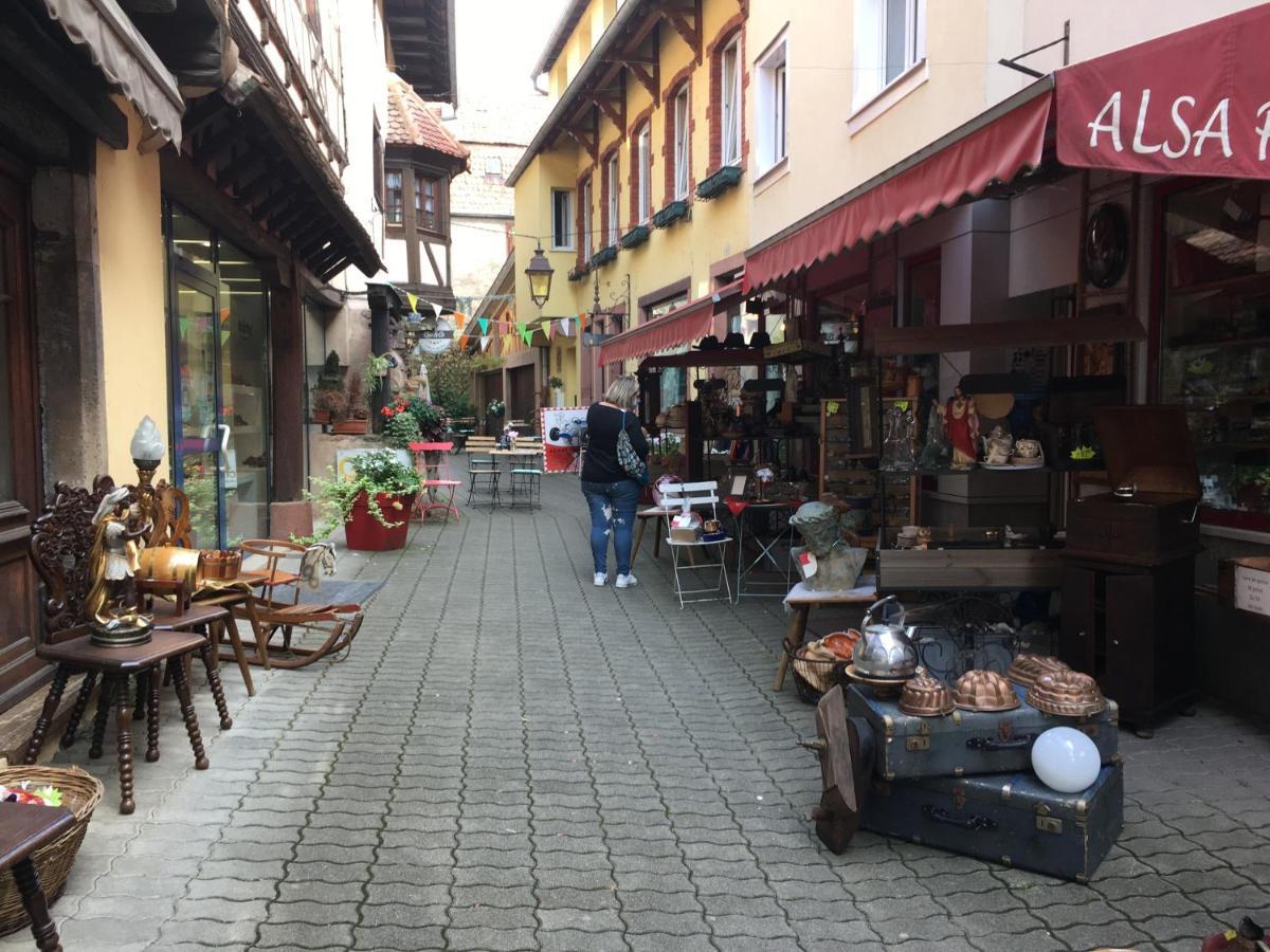 Maison Independante De Montagne En Alsace Bellefosse 외부 사진