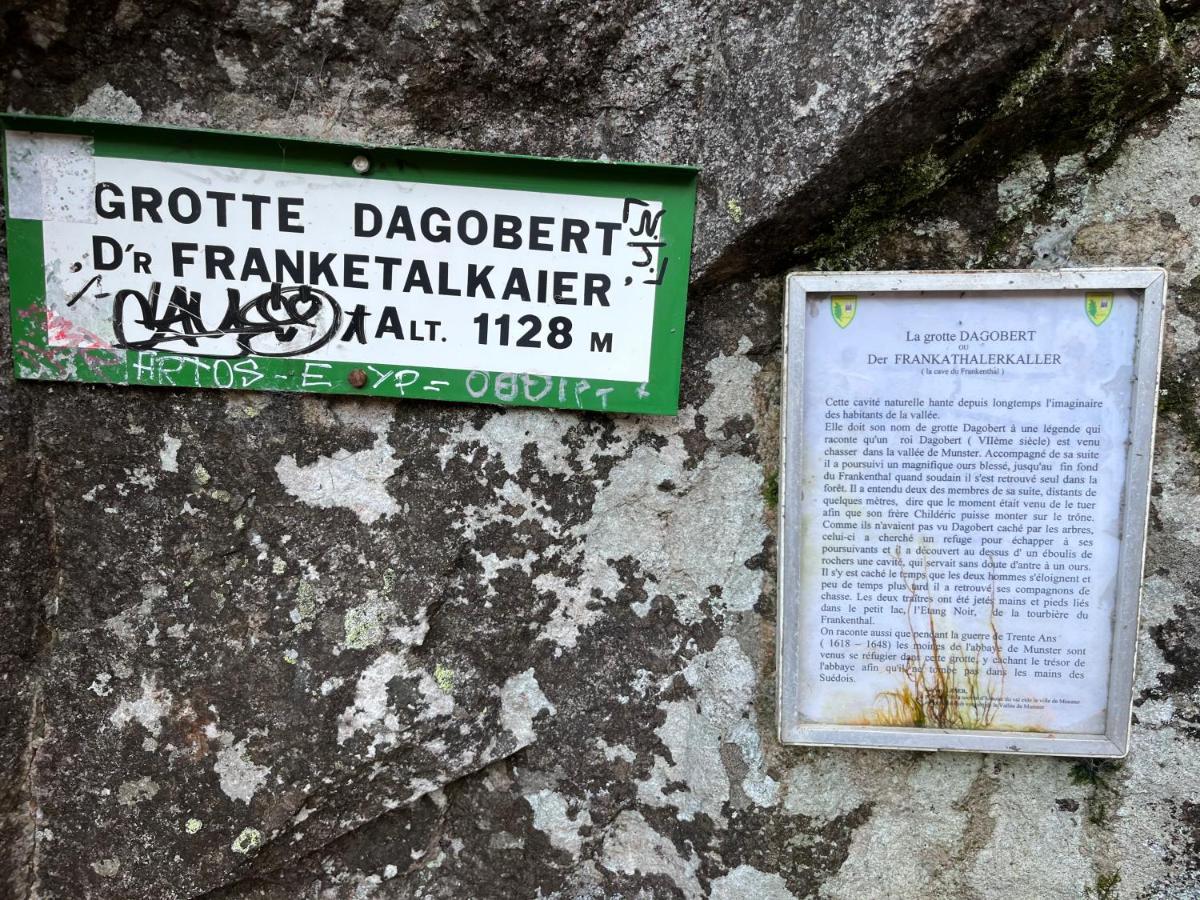 Maison Independante De Montagne En Alsace Bellefosse 외부 사진