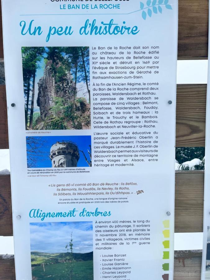 Maison Independante De Montagne En Alsace Bellefosse 외부 사진