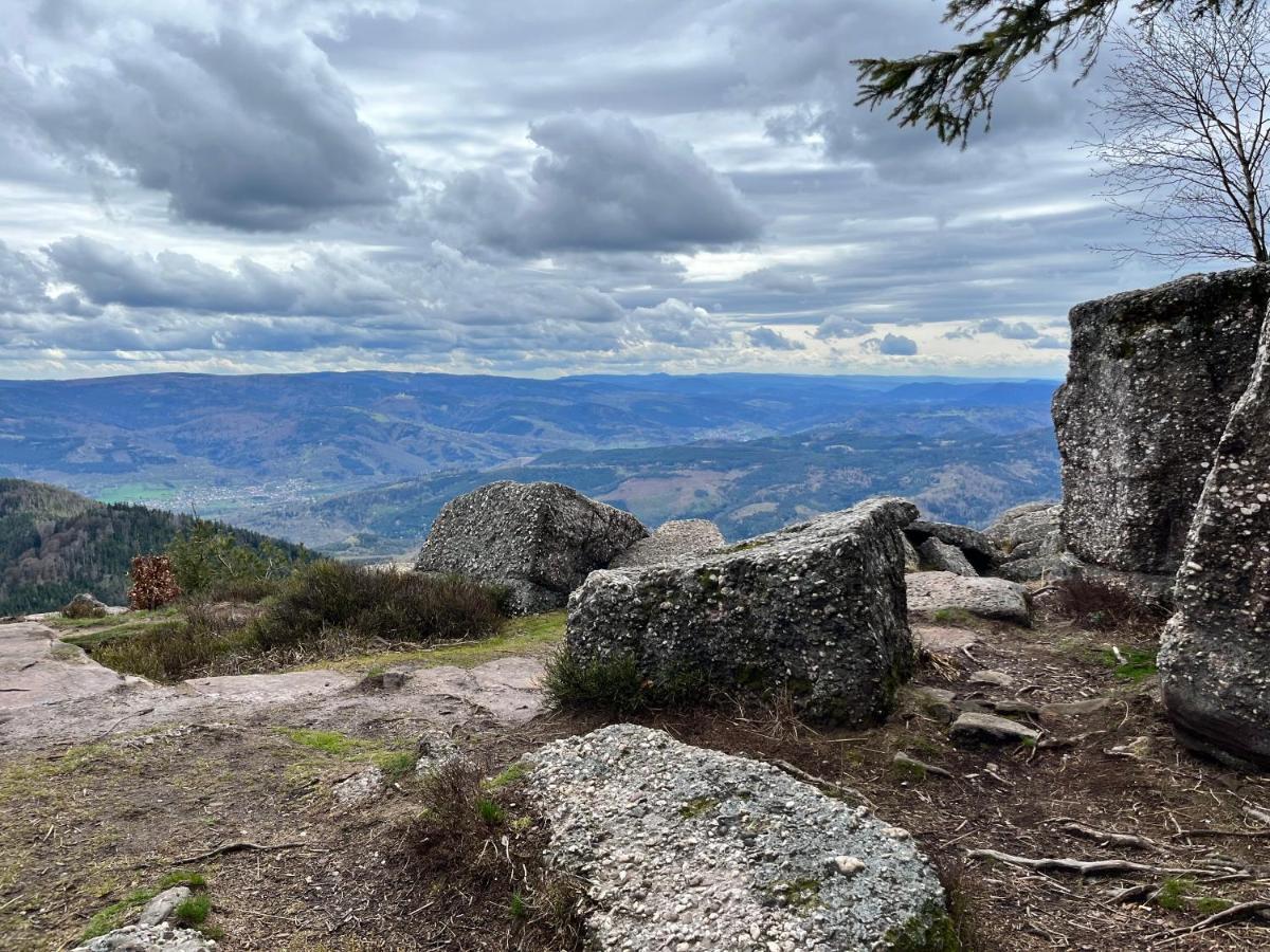 Maison Independante De Montagne En Alsace Bellefosse 외부 사진