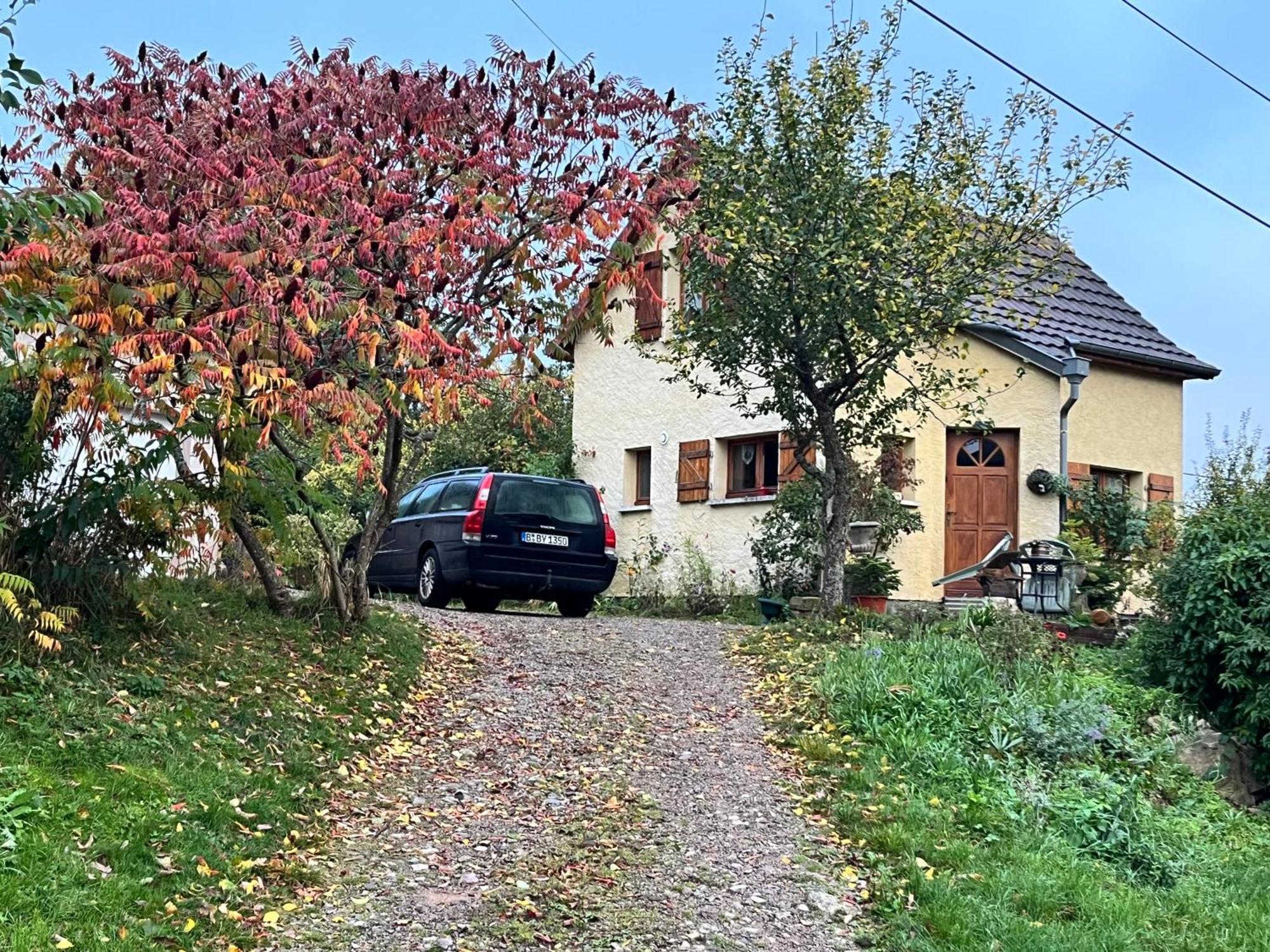 Maison Independante De Montagne En Alsace Bellefosse 외부 사진