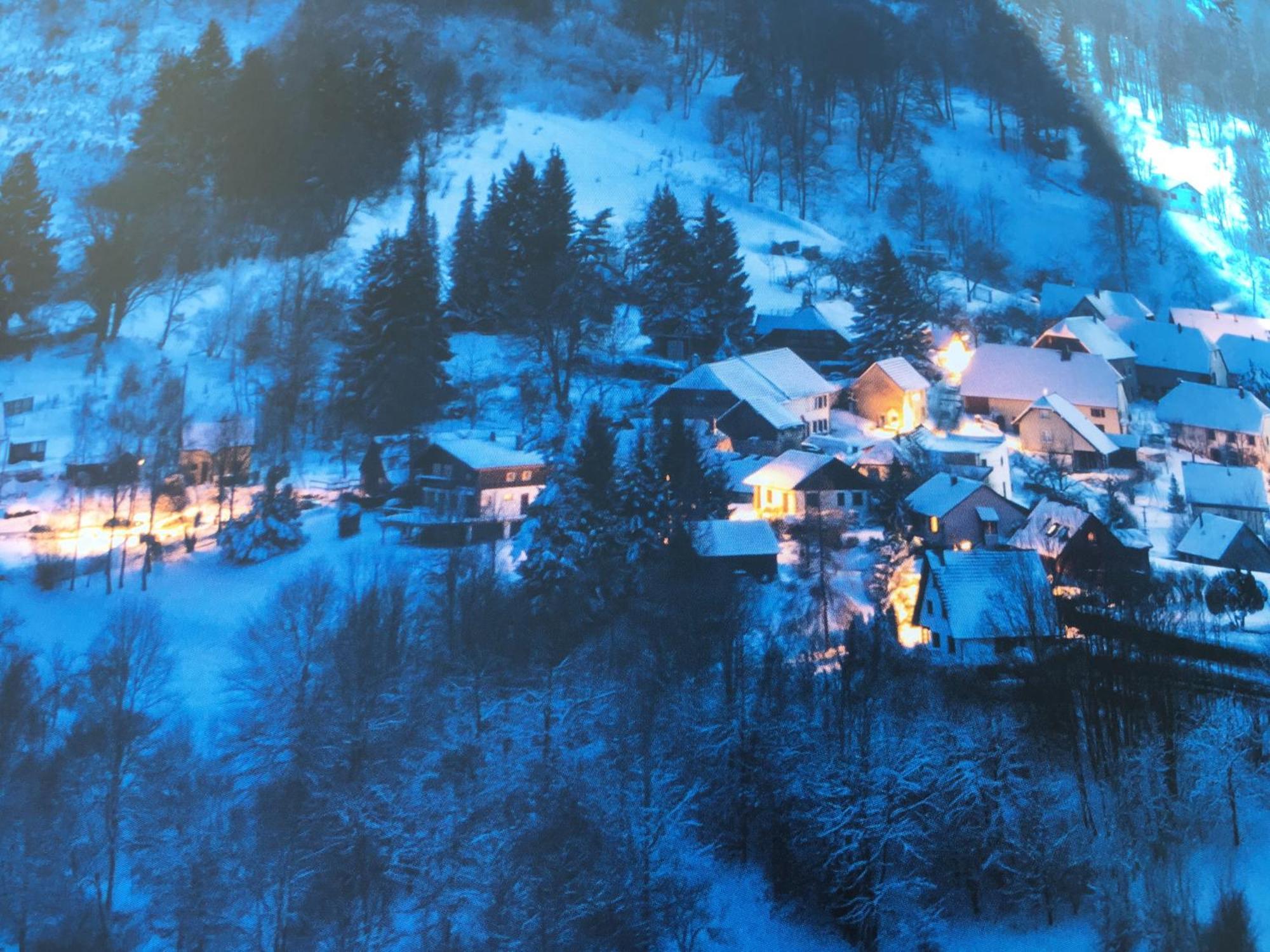 Maison Independante De Montagne En Alsace Bellefosse 외부 사진