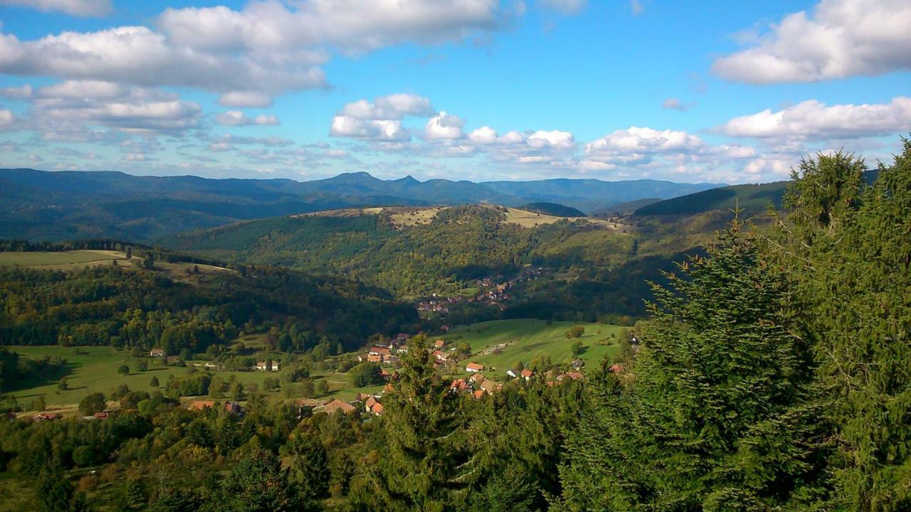 Maison Independante De Montagne En Alsace Bellefosse 외부 사진