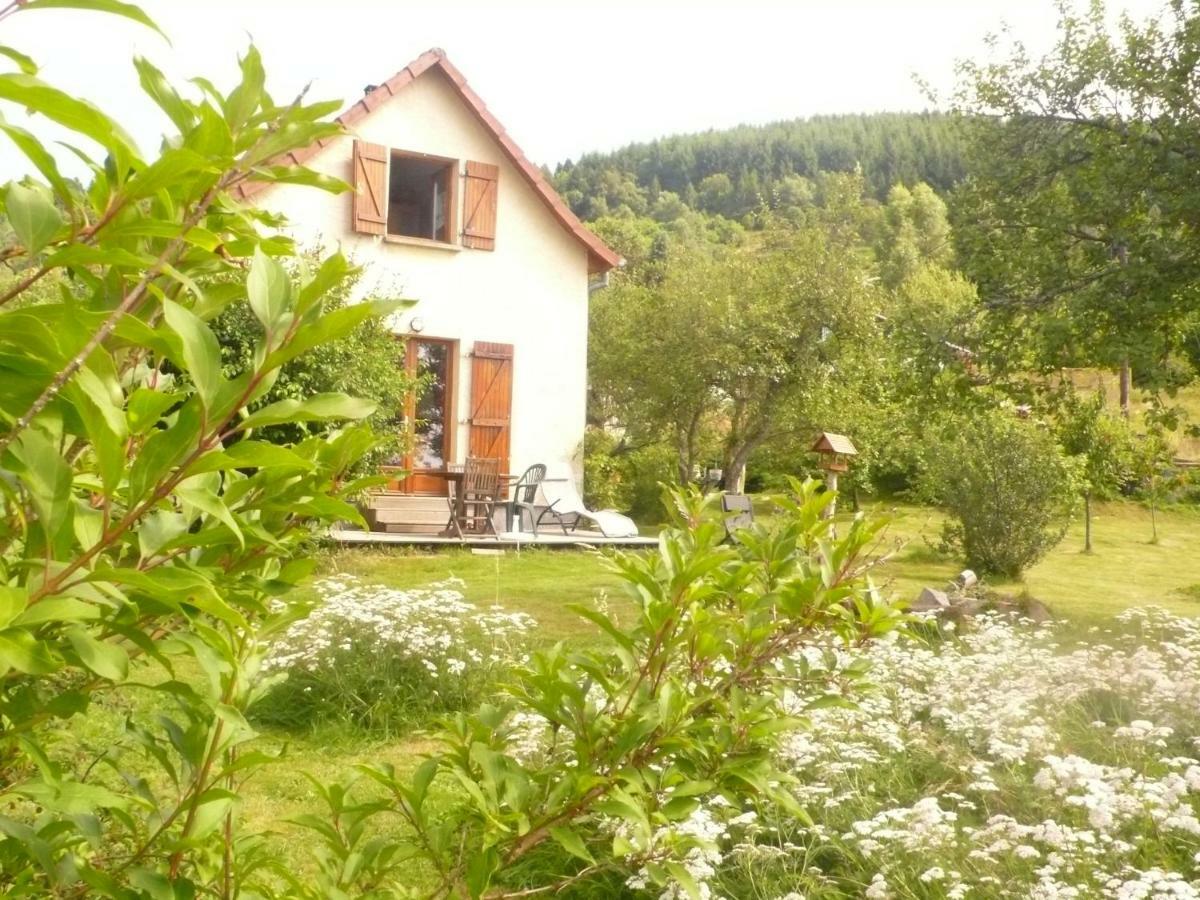 Maison Independante De Montagne En Alsace Bellefosse 외부 사진