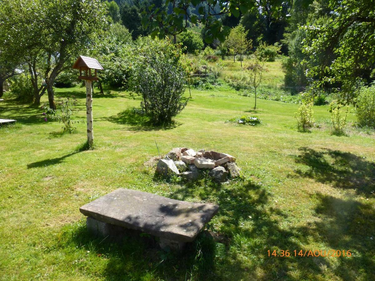 Maison Independante De Montagne En Alsace Bellefosse 외부 사진