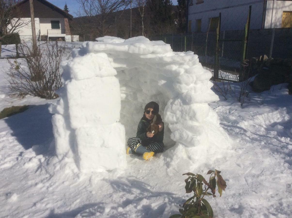 Maison Independante De Montagne En Alsace Bellefosse 외부 사진